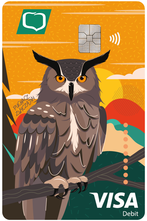 visa_classic_-puchacz.png
